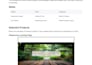 do front end web devolopment